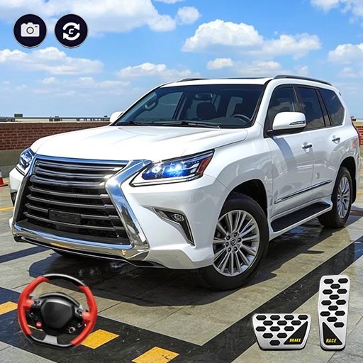 Prado Car Parking Game